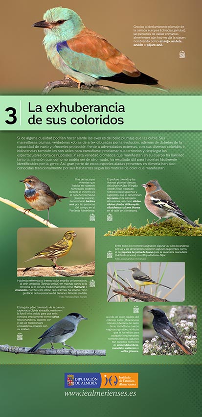 Exposición Aves 03